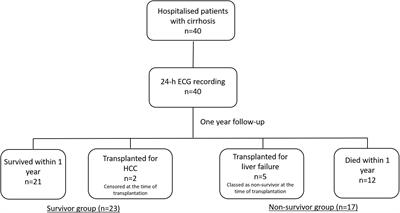 Heart Rate Turbulence Predicts Survival Independently From Severity of Liver Dysfunction in Patients With Cirrhosis